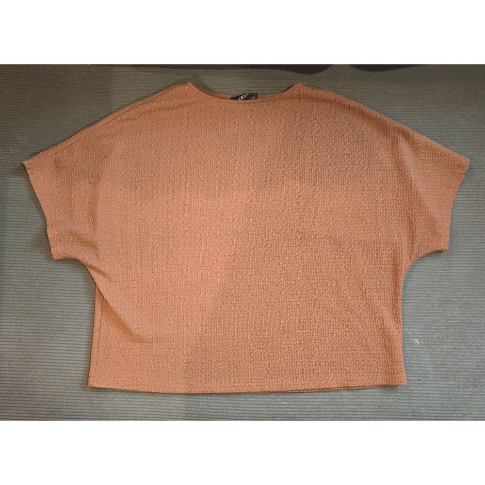 Cider Brown Ribbed Short Sleeve Crop Top Plus Size 1XL Basic Tee